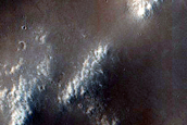 Dense Network of Ridges and Alcoves along Crater Rim
