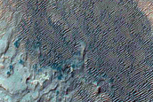 Alluvial Fans in Roddy Crater
