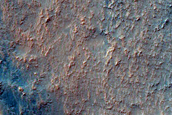 Gullies in Crater Near Mariner Crater
