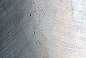 Bedrock Exposures
