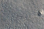 Impact Monitoring in Arcadia Planitia
