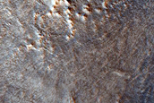 Gullies on Wall of Mesa Near Mareotis Fossae
