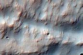 Gullies in Small Southern Mid-Latitude Crater

