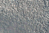 Arc-Shaped Ridges along Mesa in Protonilus Mensae
