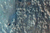 Monitor Small Fresh Impact Crater in Meridiani Planum
