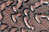 Dune Monitoring in Impact Crater
