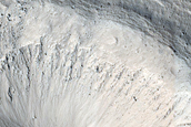 Slope and Gully Monitoring
