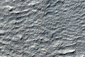 High-Latitude Gullies
