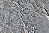 Gully Monitoring
