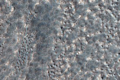 Apron Material in Protonilus Mensae
