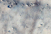 Flow Margin in Phlegra Dorsa
