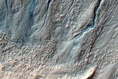 Gully Monitoring
