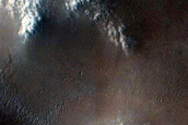 Dense Network of Ridges and Alcoves along Crater Rim
