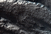 Gullies in Copernicus Crater
