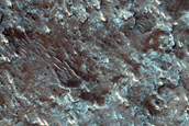 Terrain Sample
