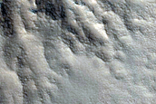 Gully Monitoring
