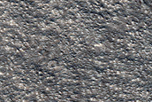 Terrain Sample
