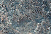 Rectilinear Ridges at Base of Gullied Slope
