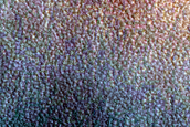 Olivine-Rich Deposits on Northern Plains Crater Floor
