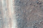 Small Gullies and Fans along Ridge in Nereidum Montes

