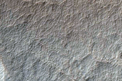 Gullies in Southern Mid-Latitudes
