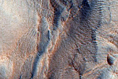 Gully Monitoring
