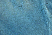 Gully Monitoring
