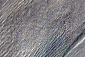 Gully Monitoring
