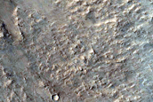 Slope Survey
