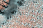 Dunes on Cemented Substrate
