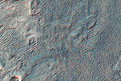 Northwestern Rim of Roddy Crater