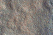Dendritic Periglacial Terrain in Utopia Planitia