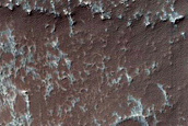 Crater Floor in Terra Sirenum