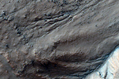 Gullies Initiating Mid-Slope within Mantle in Crater