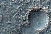 Terrain Sample