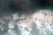 High-Latitude Gully Monitoring