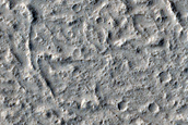 Terrain Sample