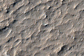 Terrain Sample