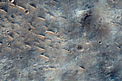 Terrain Sample