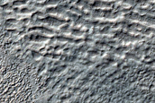 Equator-Facing Gullies and Crater Fill