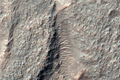 Crescentic Cratered Mound