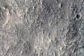 Sinuous Ridges Emerging from Viscous Flow Features in Chukhung Crater
