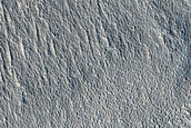 Candidate Landing Site for SpaceX Starship Near Arcadia Planitia