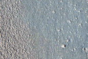 Candidate Landing Site for SpaceX Starship at Phlegra Montes