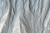 Gully Monitoring