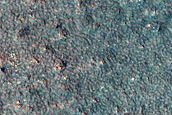 Dune Monitoring in Crater