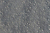 Candidate Landing Site for SpaceX Starship East of Arcadia Planitia