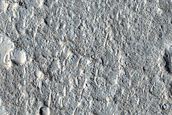Tempe Terra