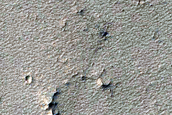 Monitoring Dust Devil Tracks in Noctis Labyrinthus