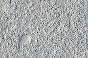 Mounds in Arcadia Planitia
